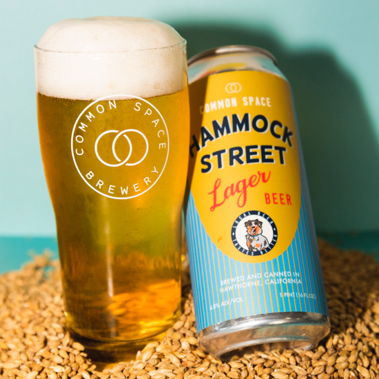 Load image into Gallery viewer, Common Space &amp;#39;Hammock Street&amp;#39; Lager [16oz. Can]
