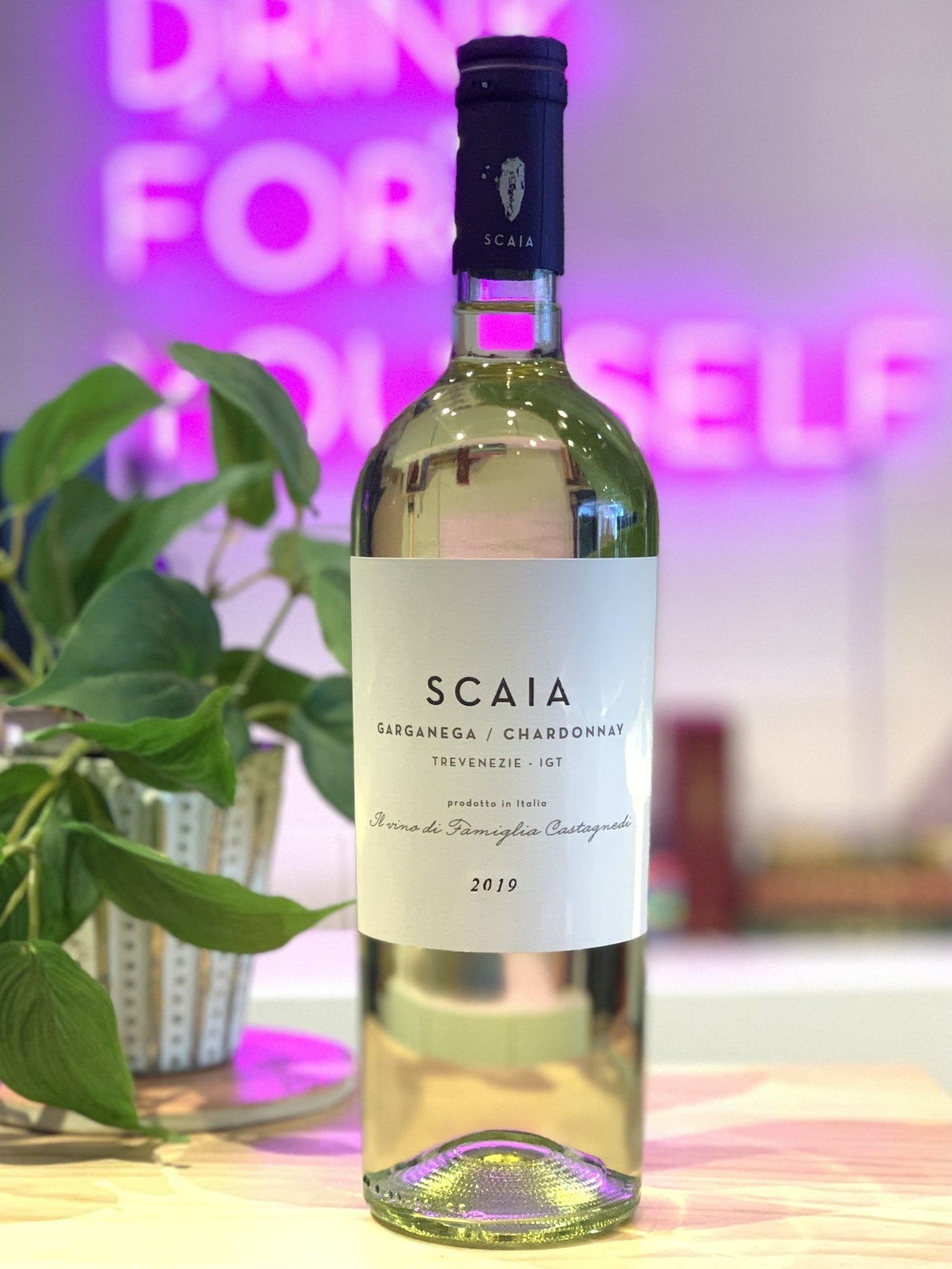Scaia 2019 Chardonnay and Garganega, Trevenezie, Veneto, Italy - DECANTsf