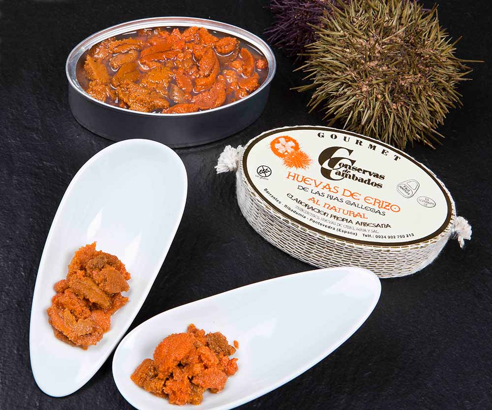 Sea Urchin Caviar, Conservas de Cambados, Spain - DECANTsf