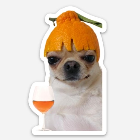 Load image into Gallery viewer, Shitty Wine Memes - Orange Wine Dog Magnet - DECANTsf
